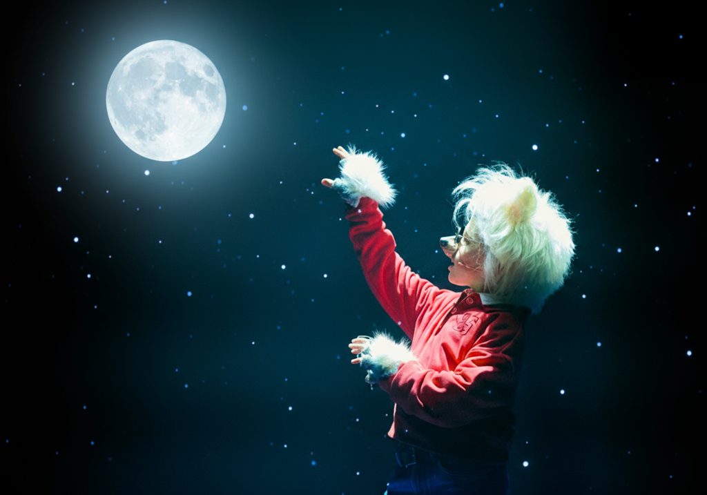 Over vriendschap en mystieke wezens